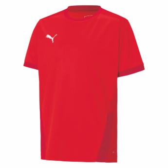 (Bild für) PUMA Trikot TeamGOAL 23